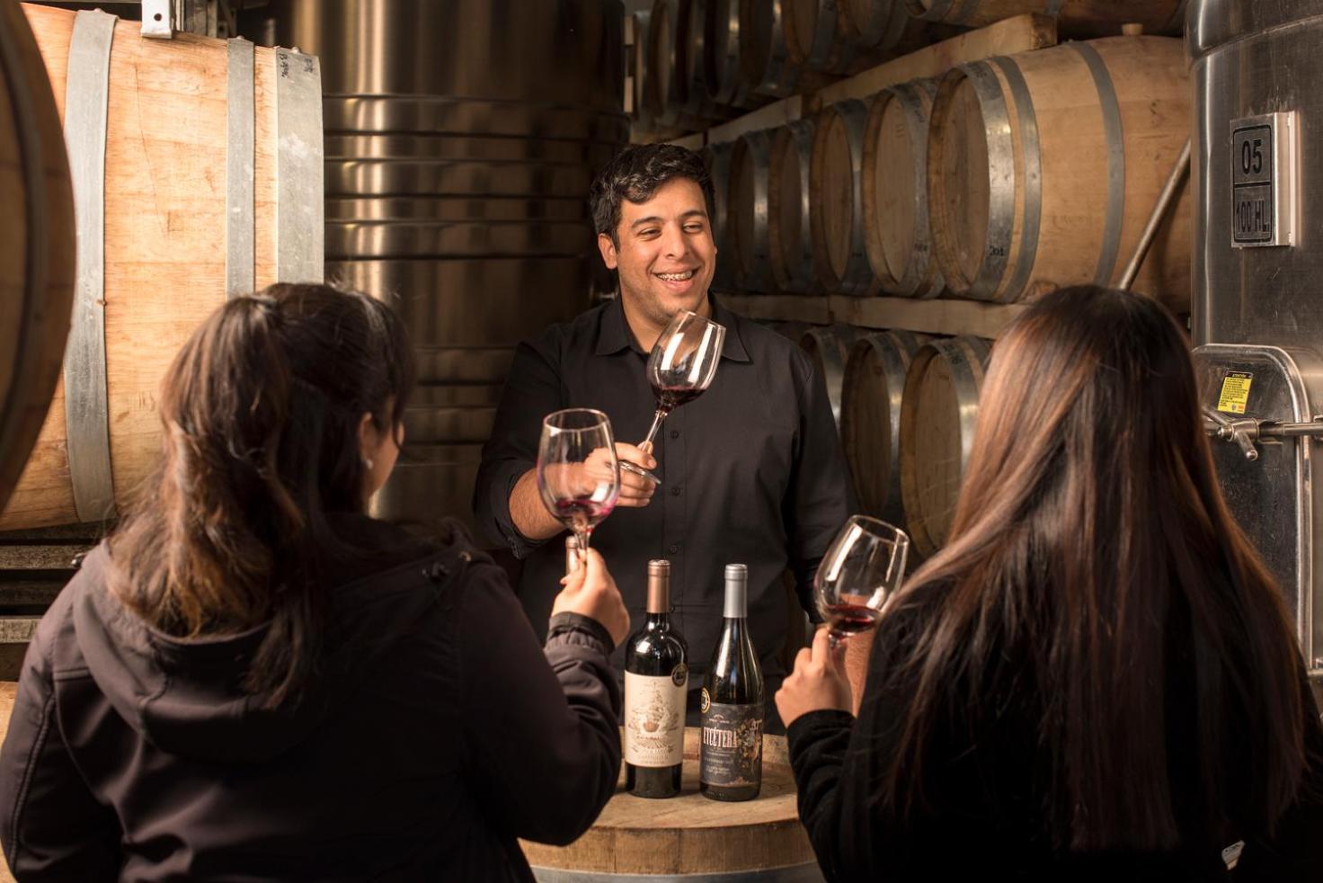 Postales Boutique Winery Hotel - Valle De Uco Colonia Las Rosas エクステリア 写真