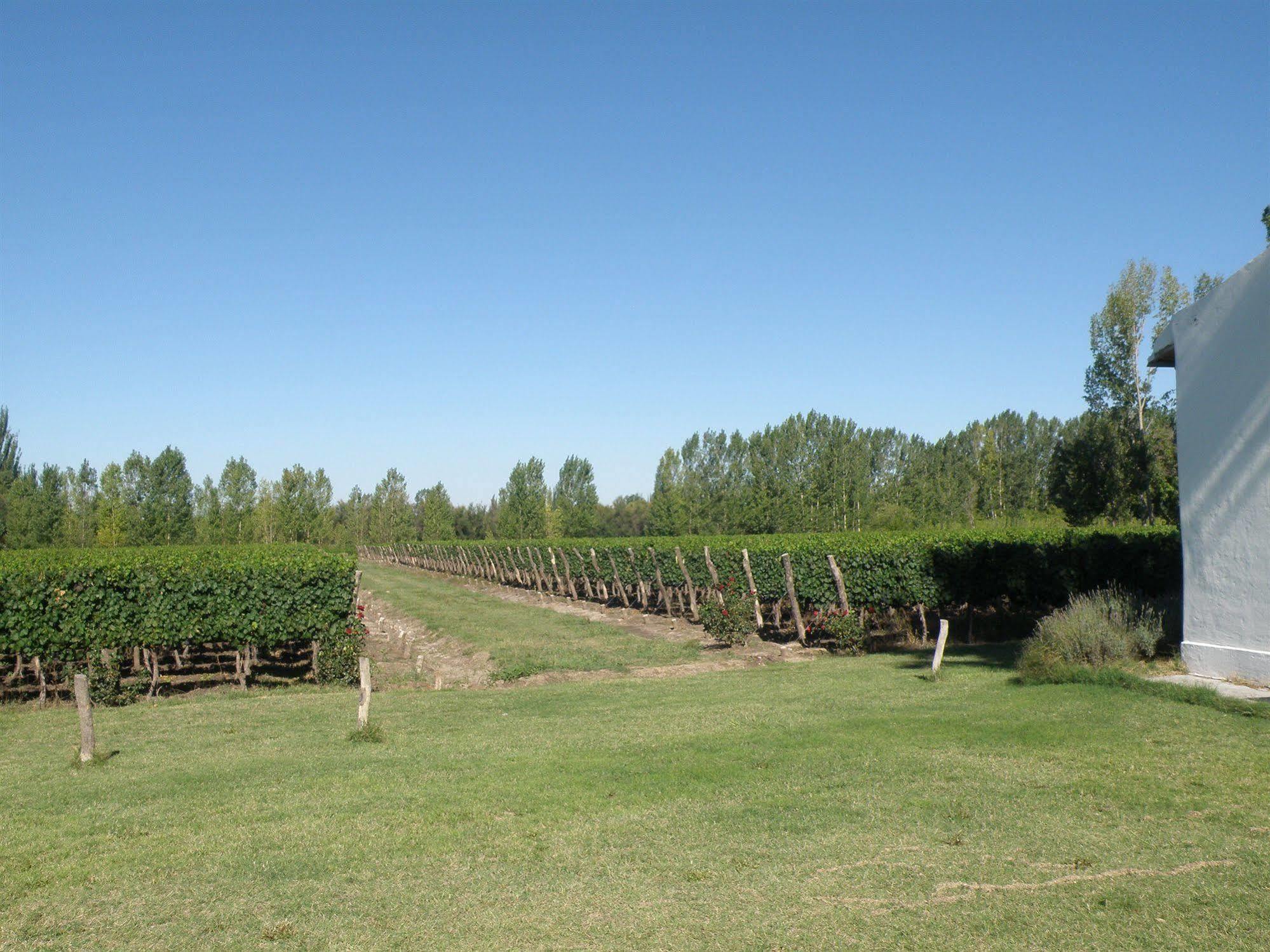 Postales Boutique Winery Hotel - Valle De Uco Colonia Las Rosas エクステリア 写真