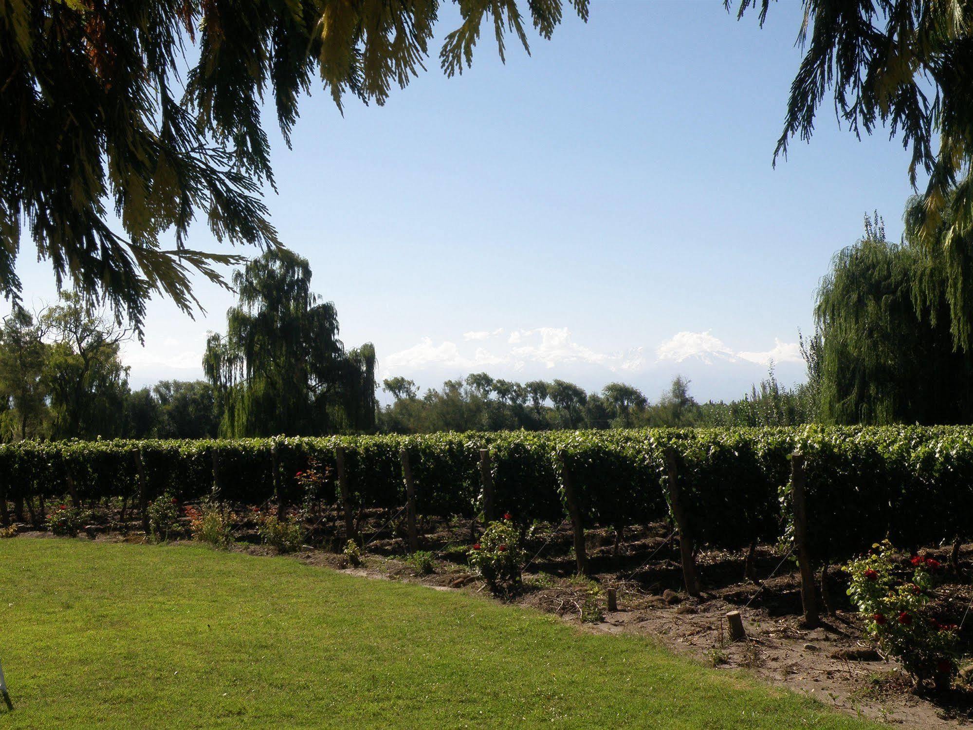 Postales Boutique Winery Hotel - Valle De Uco Colonia Las Rosas エクステリア 写真