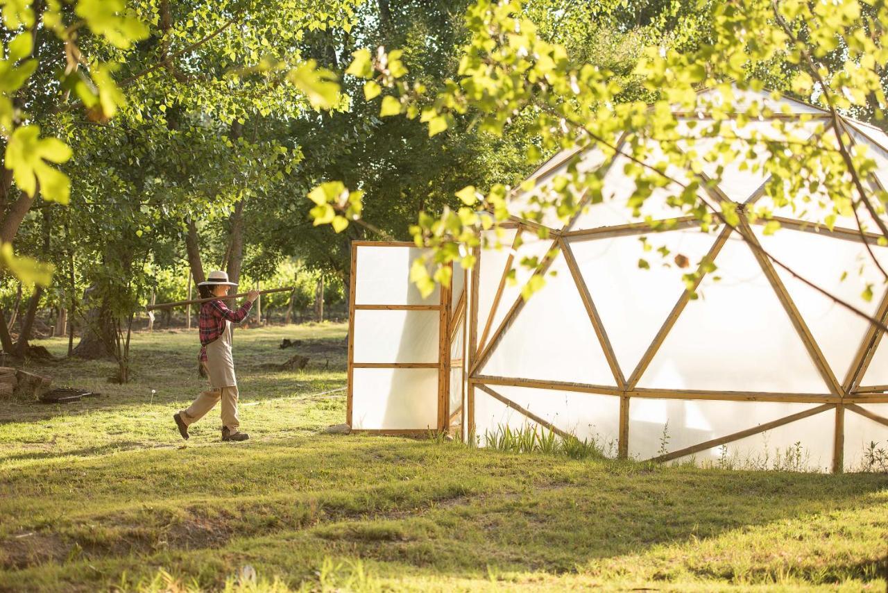 Postales Boutique Winery Hotel - Valle De Uco Colonia Las Rosas エクステリア 写真
